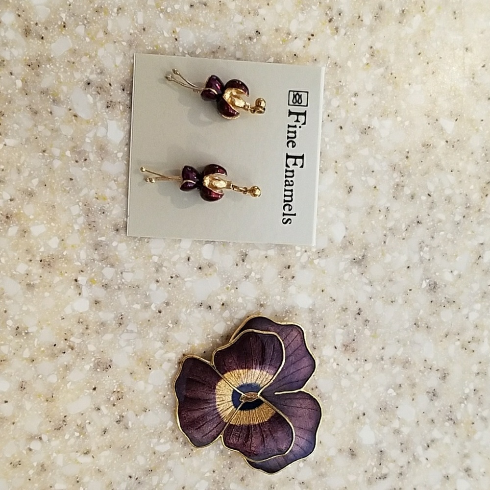 Earrings and pin set